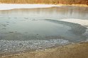 Hund und Frauchen im Eis eingebrochen Koeln Dellbrueck Hoehenfelder See P41